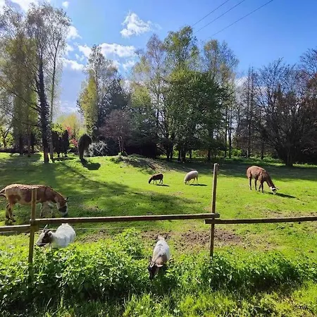 Holiday home Moulin De Courcelles *
