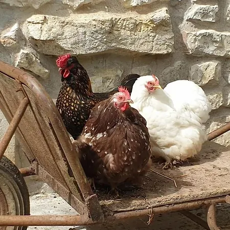 Moulin De Courcelles Holiday home