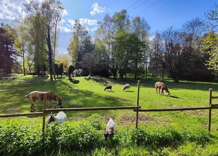 Σπίτι διακοπών Moulin De Courcelles *