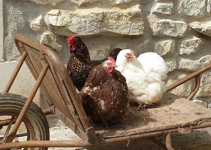 Moulin De Courcelles Σπίτι διακοπών